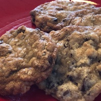 CtBF - chewy chocolate chip cookies